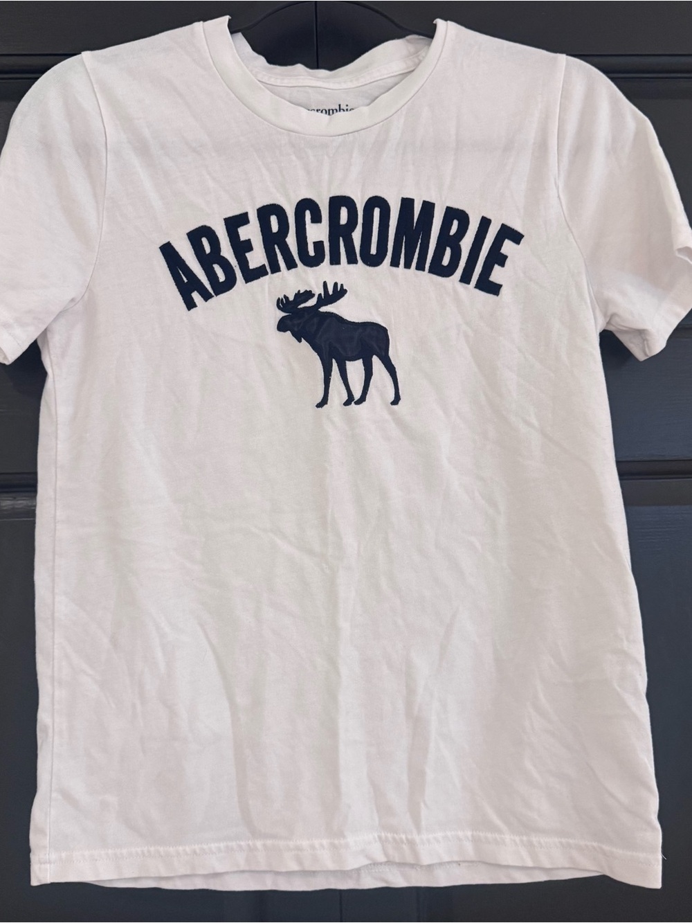 Abercrombie & Fitch Boys Sz. 13/14 White T-shirt with Navy Logo Moose Graphic